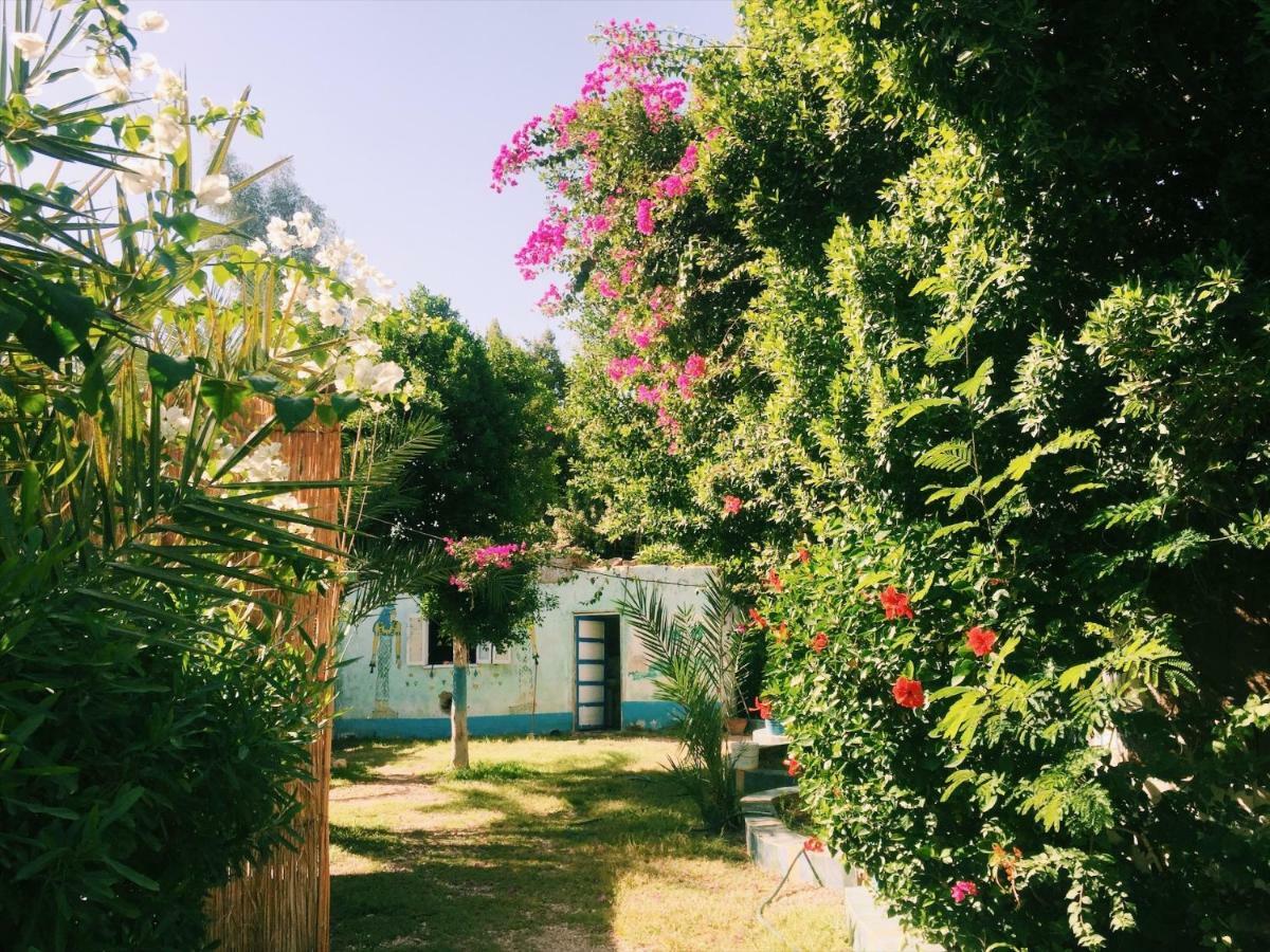 Hotel Al Salam Camp Luksor Zewnętrze zdjęcie